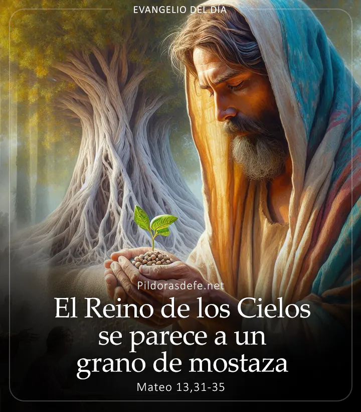Evangelio de hoy, Mateo 13,31-35: El Reino de los Cielos se parece a un grano de mostaza